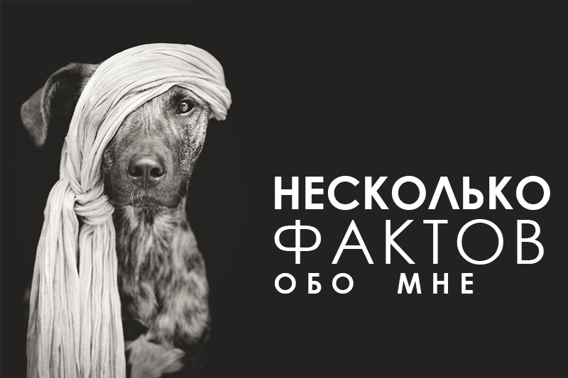 Обо мне